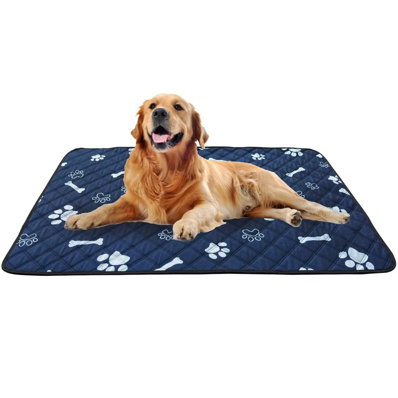 dog pee pads- THE PAD DOGS FIND INSTANTLY (WITHOUT TRAINING)