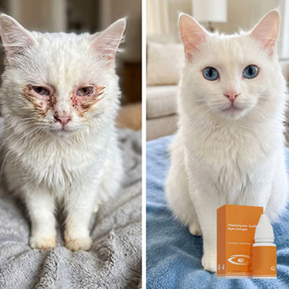 🐾 Pet Antibacterial Eye Drops – Gentle Eye Care & Tear Stain Cleaner for Cats & Dogs