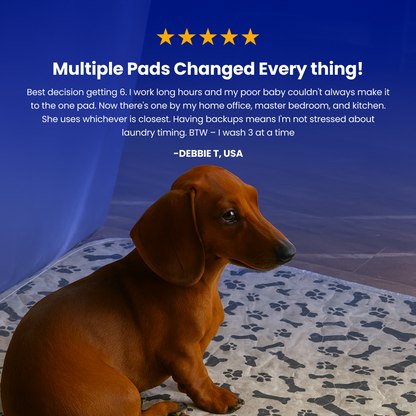 dog pee pads- THE PAD DOGS FIND INSTANTLY (WITHOUT TRAINING)