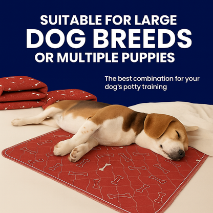 dog pee pads- THE PAD DOGS FIND INSTANTLY (WITHOUT TRAINING)