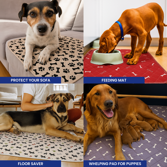 dog pee pads- THE PAD DOGS FIND INSTANTLY (WITHOUT TRAINING)